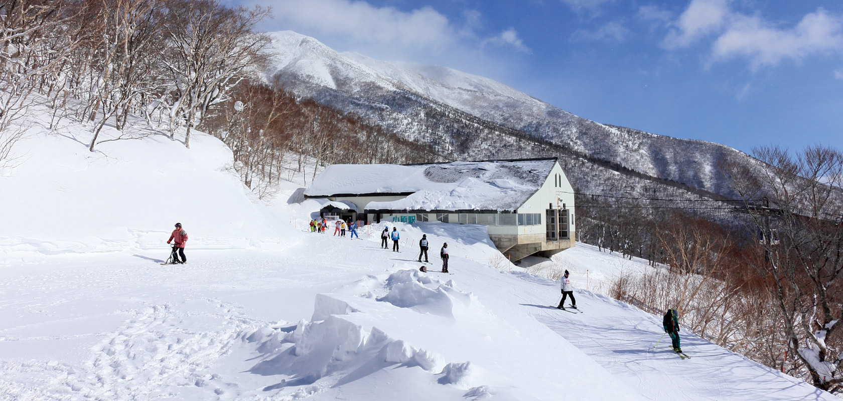 岩手スキー雫石網張温泉岩手高原リフト券レンタル正規価格22500円 www